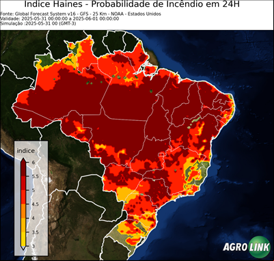 24 horas