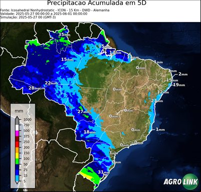 5 dias