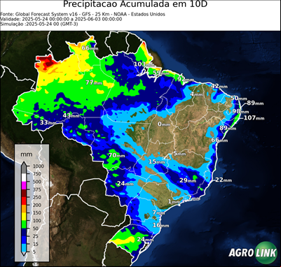 10 dias