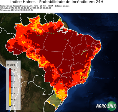 24 horas