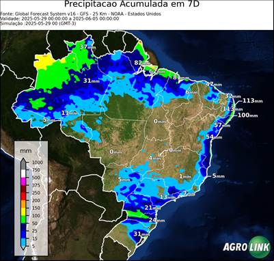 7 dias