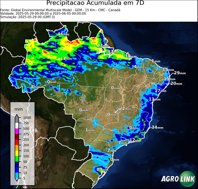 7 dias