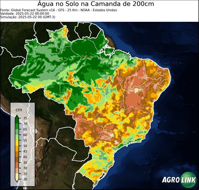 24 horas