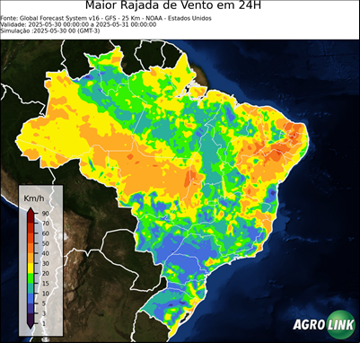 24 horas