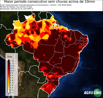 15 dias