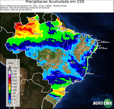 15 dias