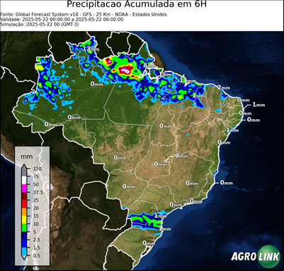 6 horas