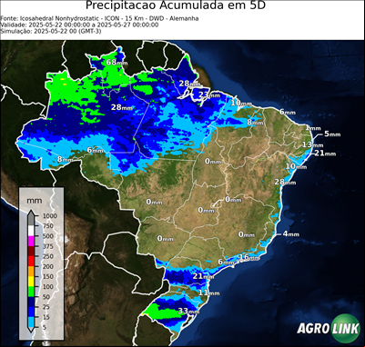 5 dias