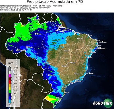 7 dias