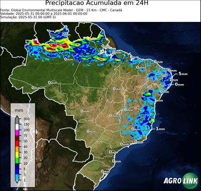 24 horas