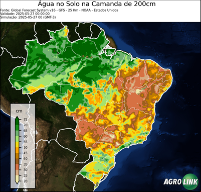 24 horas