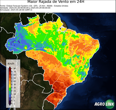24 horas