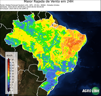 24 horas