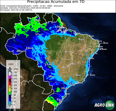 7 dias