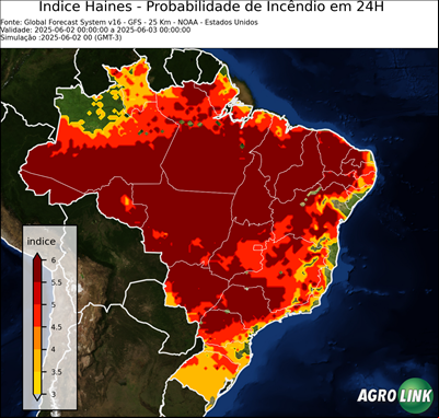 24 horas