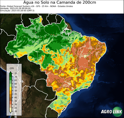 24 horas