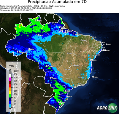 7 dias