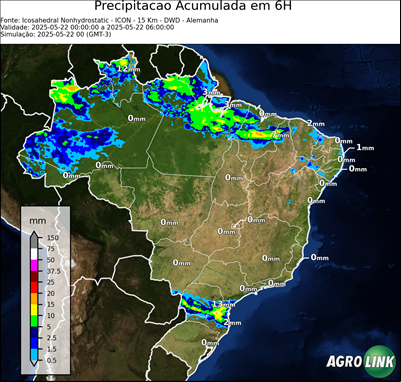 6 horas