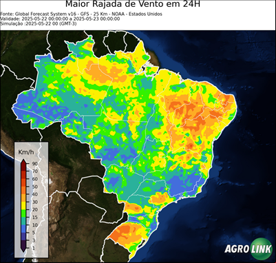 24 horas