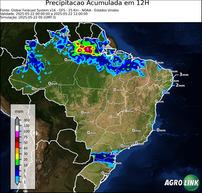 12 horas